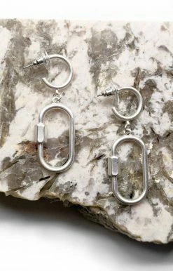 What's Hot - QE26698-MS - 51122 Accessories Collecting Crushes Earrings - Silver